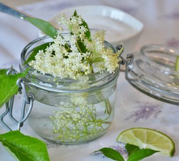 Holunderblütensaft ohne Kochen (alkoholfrei)