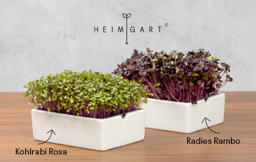 Heimgart präsentiert Limited Edition mit neuen Microgreens-Sorten