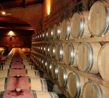Ein Weinklimaschrank gewährleistet Weingenuss durch adäquate Lagerung