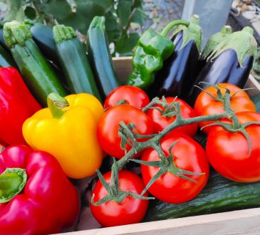 Auf diese beiden Kriterien legen europäische Verbraucher beim Kauf von Obst und Gemüse besonders Wert